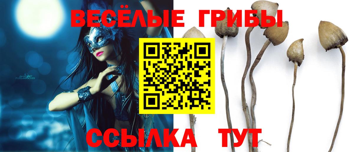 Псилоцибиновые грибы мухоморы Михайловск