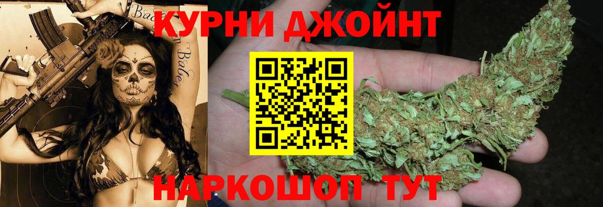 Каннабис план Михайловск