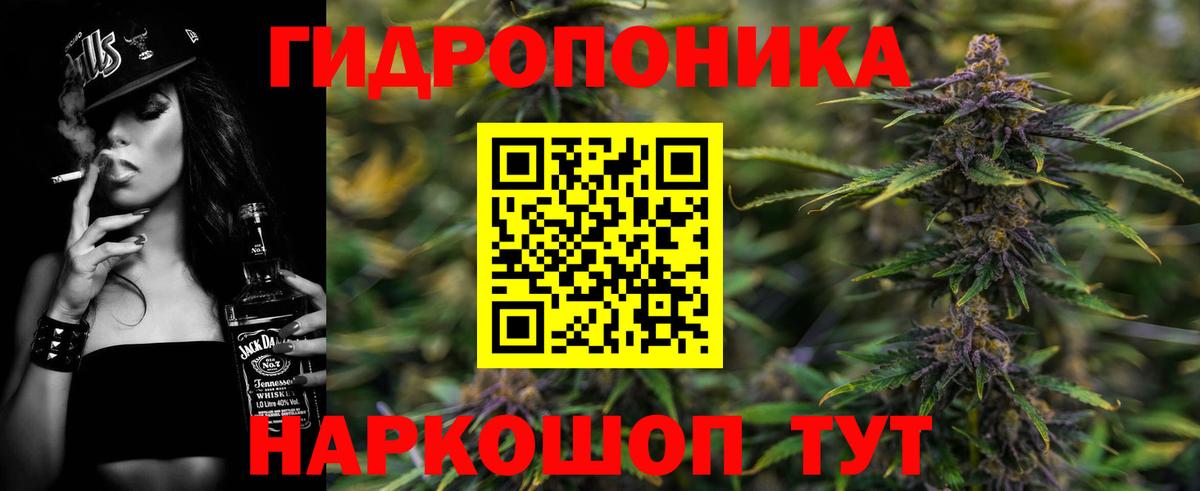 Конопля индика  Бошки Шишки LSD WEED  Михайловск  Вход с VPN  Конопля гибрид 